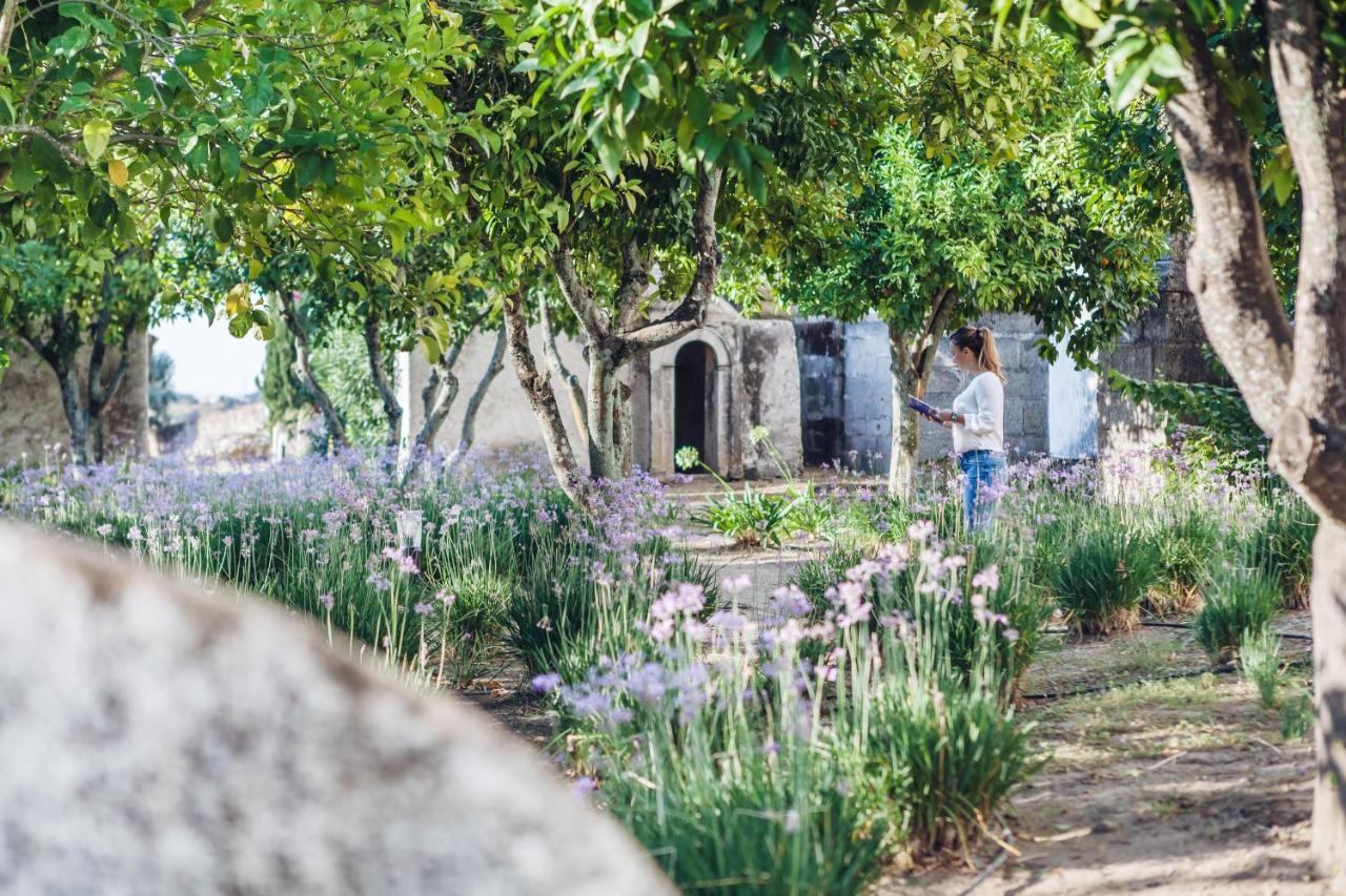 Convento Do Espinheiro, Historic Hotel & Spa Evora Exterior photo The cemetery of the village